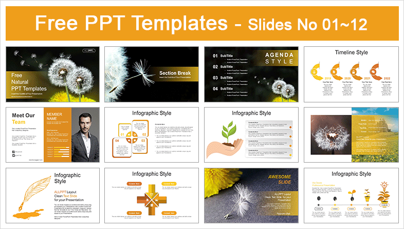  Dandelion Seeds Blowing PowerPoint Templates			 