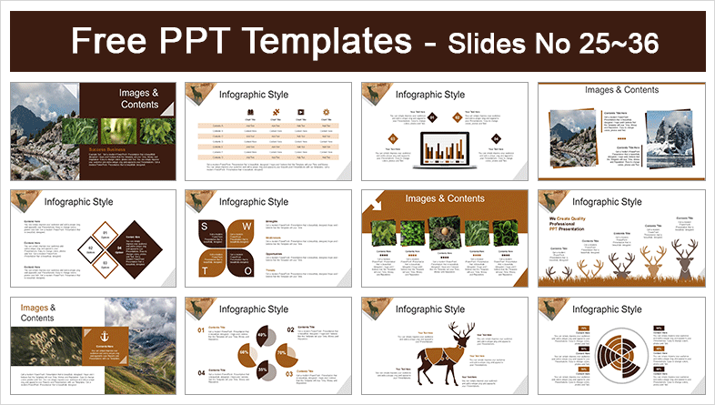  Red Deer PowerPoint Templates			 