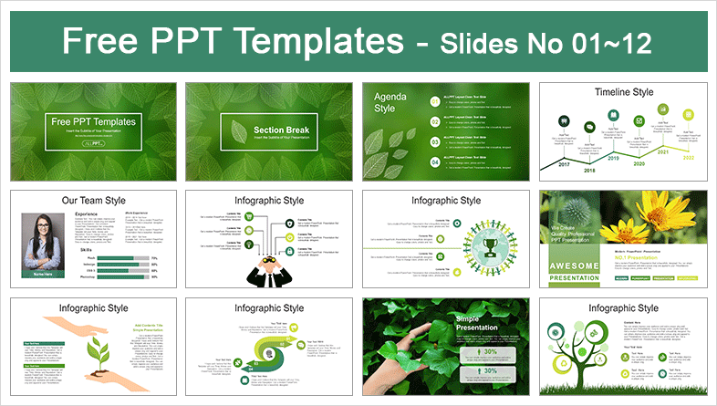  Transparent Skeletal Leaves PowerPoint Templates			 